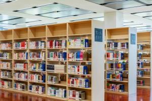 廣東外語外貿大學公開學院學校代碼是多少？