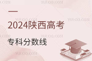 2024߿Ʒ֔Ƕ٣2019-2024֔