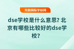 dseWУʲô˼Щ^õdseWУ