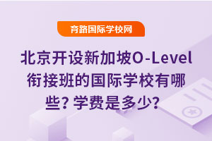 _O¼O-Level㕽ӰćHWУЩWMǶ