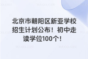2025年北京市朝陽區新亞學校招生計劃公布！初中走讀學位100個！