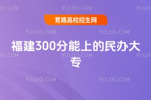 2025긣300ϵkЩ