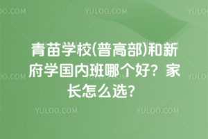 青苗學校(普高部)和新府學國內班哪個好？家長怎么選？