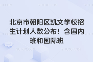 2025年北京市朝陽區凱文學校招生計劃人數公布！含國內班和國際班